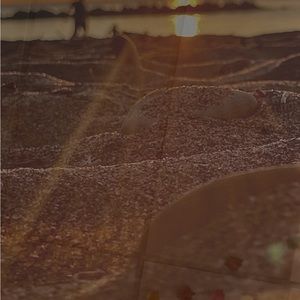 Meet your Posher, Edith